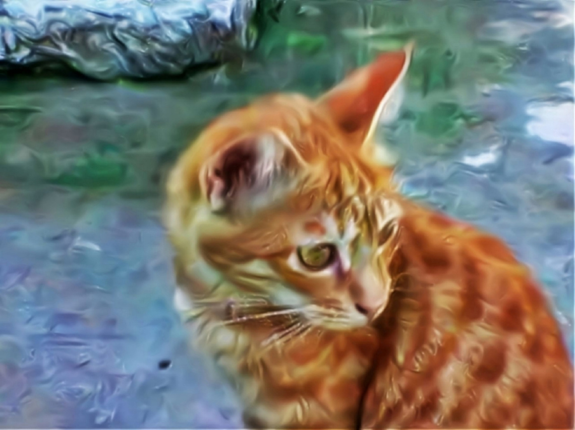 'Tiger' 