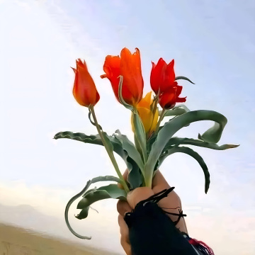 For you  all.. 