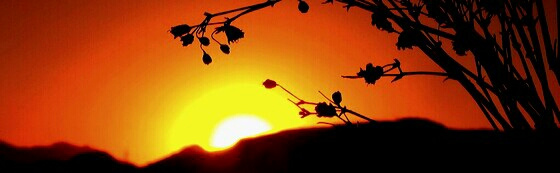 my sunset sky