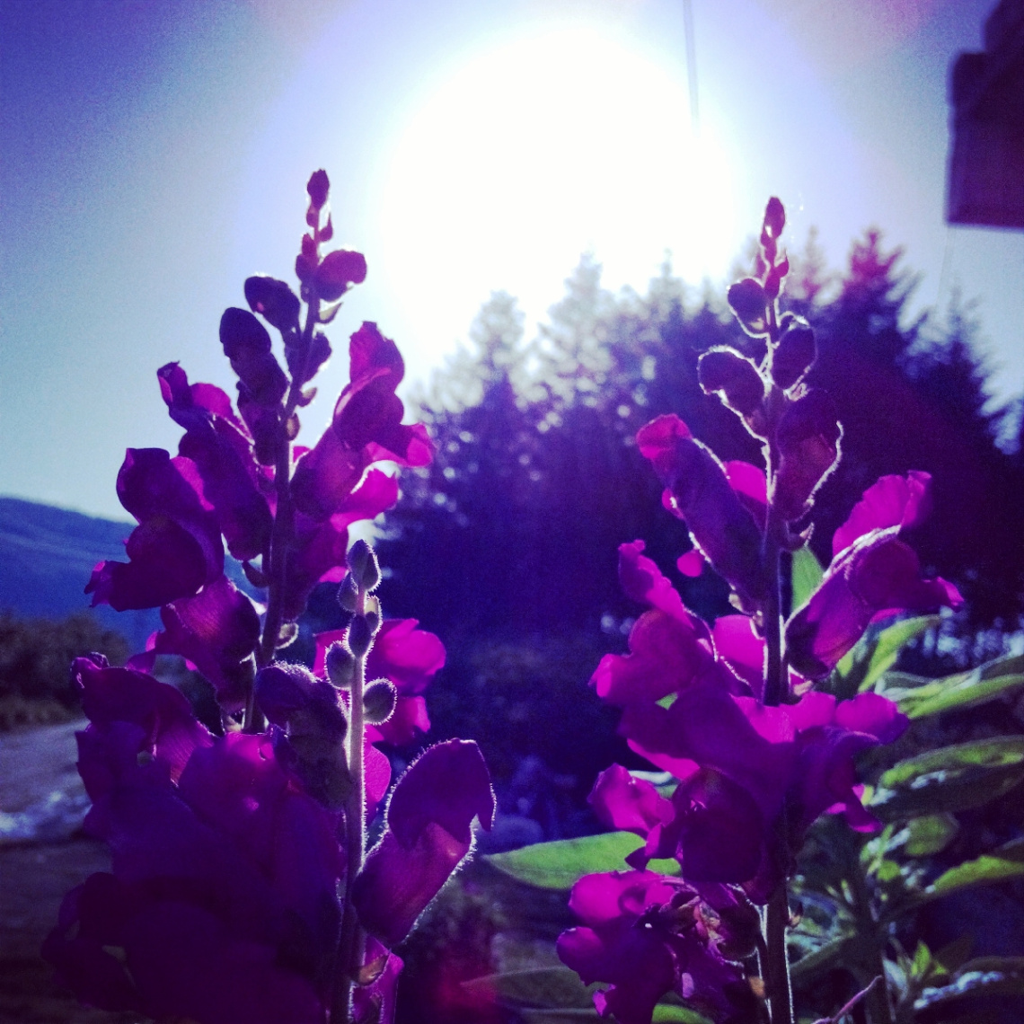 güzel bir kare