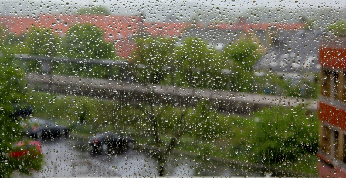 Looking Out...