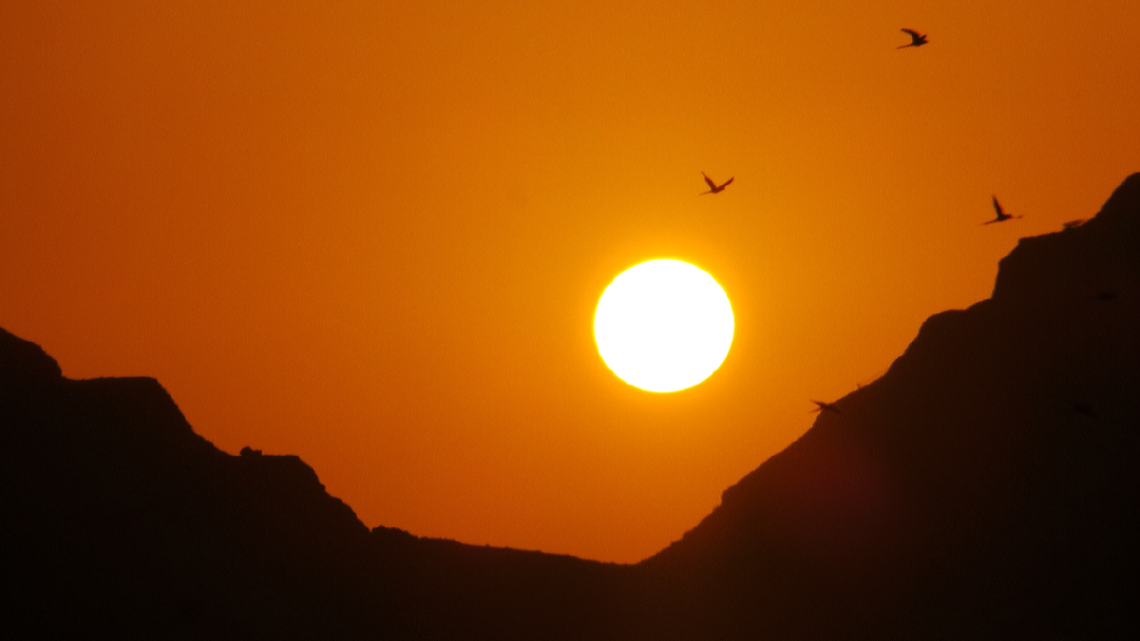 birds are flying towards home while the sun is setting down onto the horizon