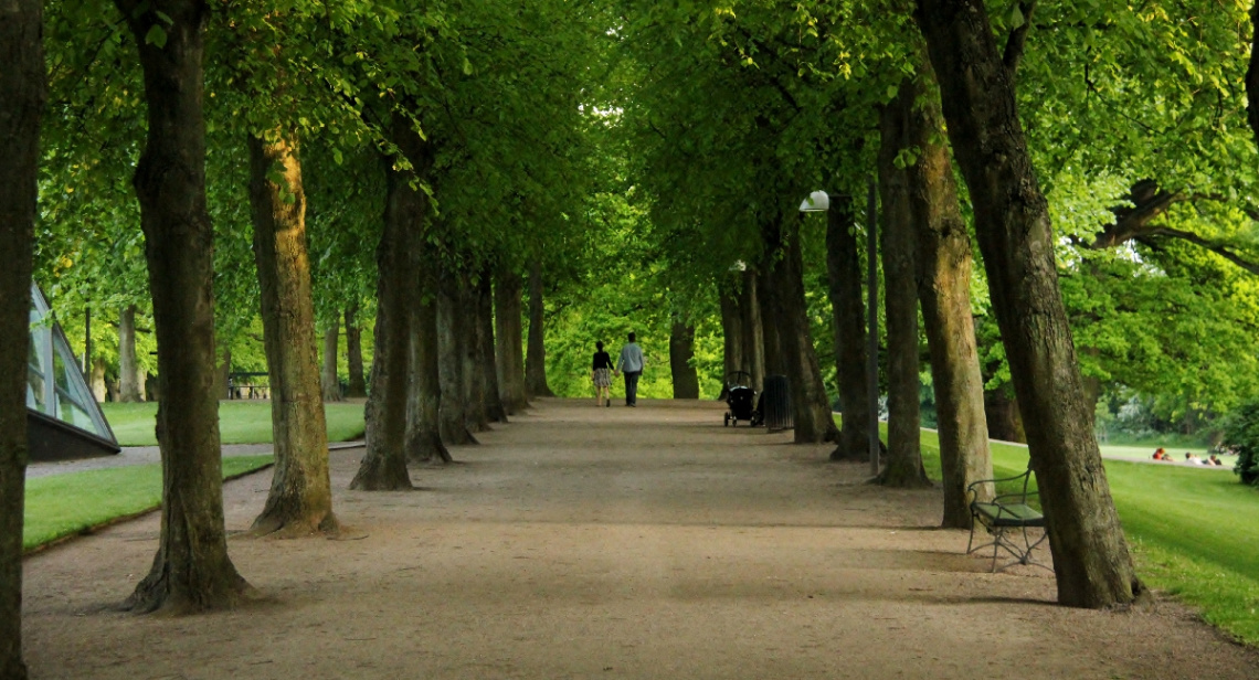 A Summerday In The Park