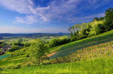 green hills