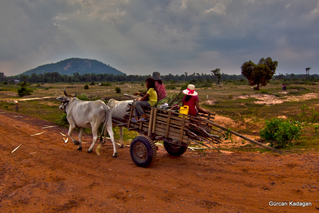 kamboçya