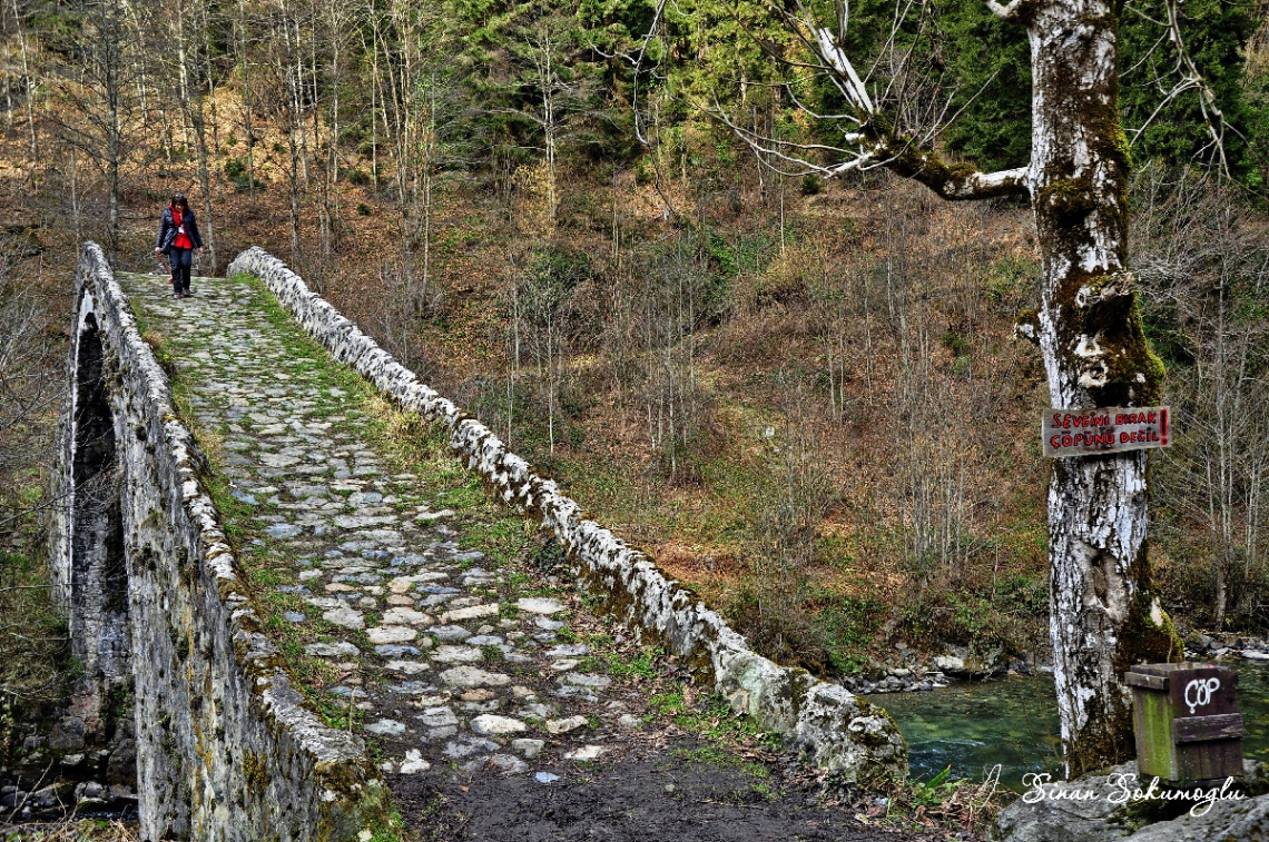 karadz