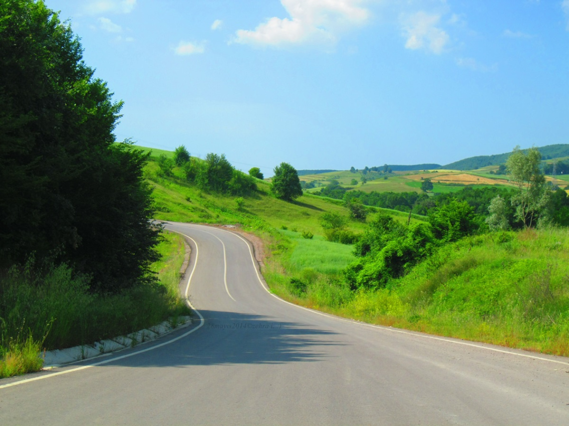Yeşillik ve Yol
