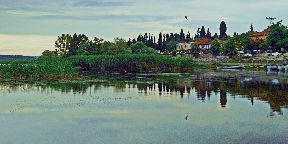 Gölyazıdan