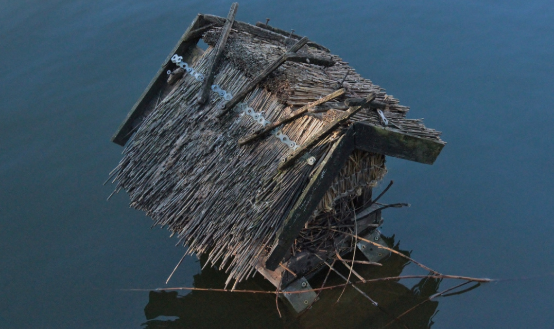 No One Home