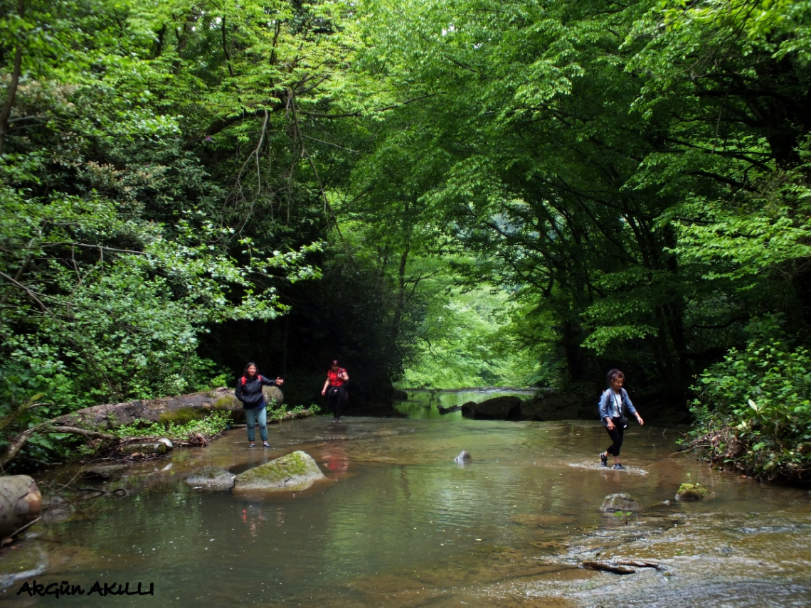 Harmankaya şelale (ZONGULDAK)