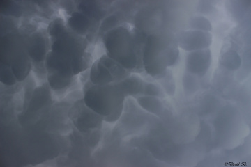 Mammatus