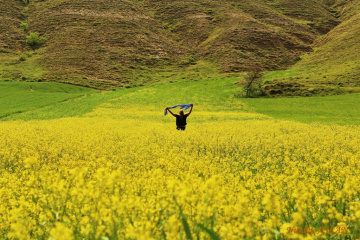 Kapıldım Gidiyorum-I can't help stoping myself and I continue...