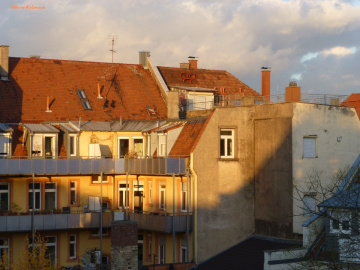 Hinterhofidylle