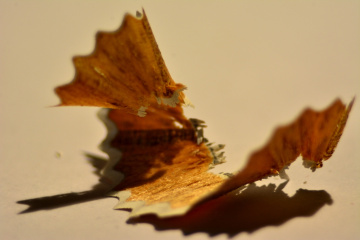Bir Zamanlar Kalemdi...