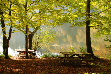 Autumn - Yedigöller