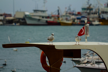 Talking to friends :)