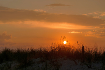 Summer Evening