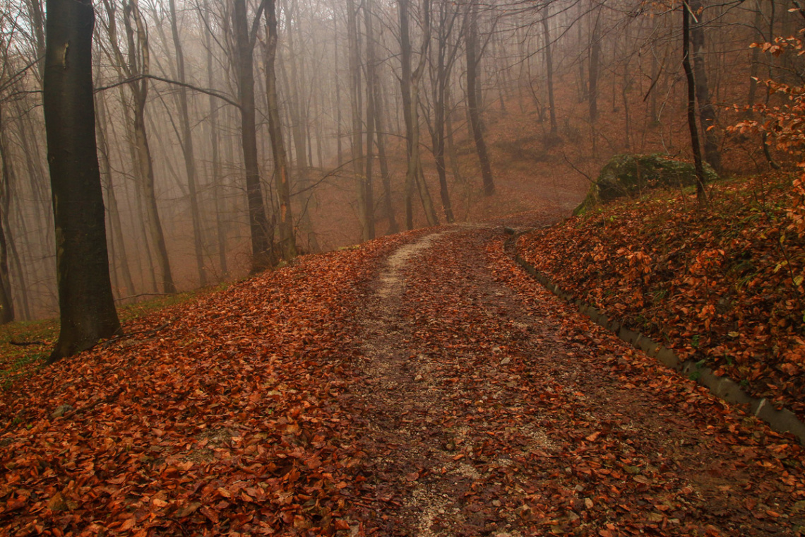 red path