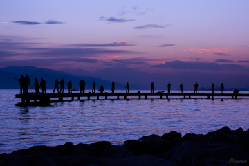 Balık Avı