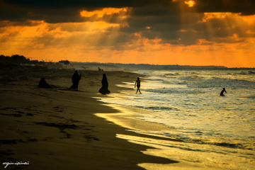 Freedom for Everyone