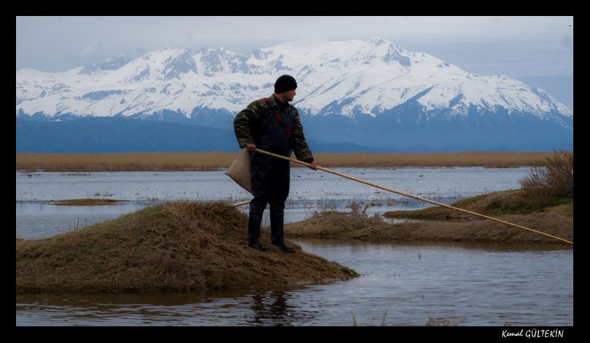 fisherman