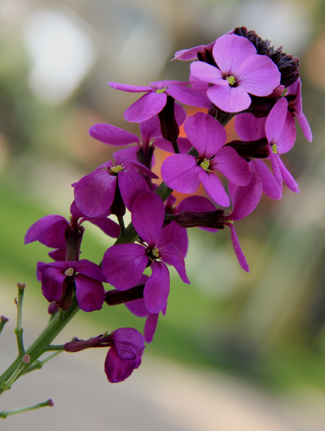 A Colour From This Summer...