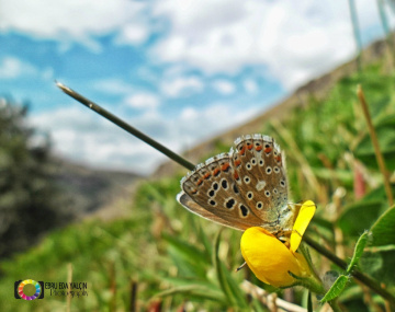 Muhteşem Yaradılış 3