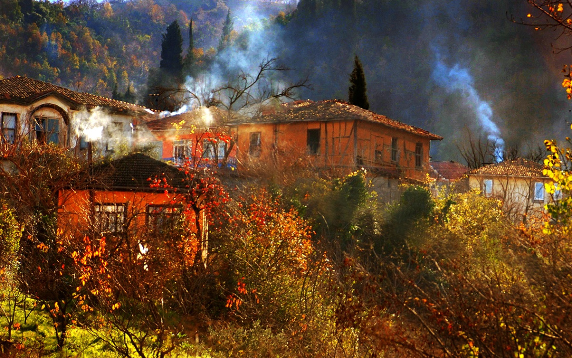 Saraylı Köyü