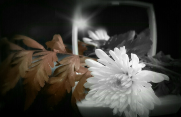 Mirror III 