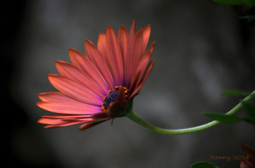 different colors.. :) 