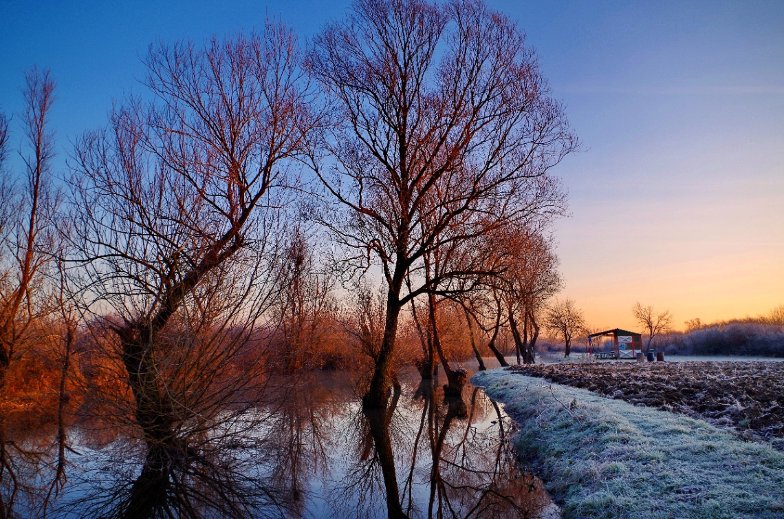 Frost morning