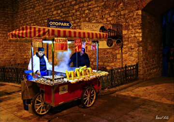 KESTANEİ