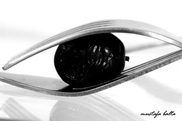 Zeytin Gözlüm 