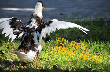 2015e hizli gideceğiz .... :)