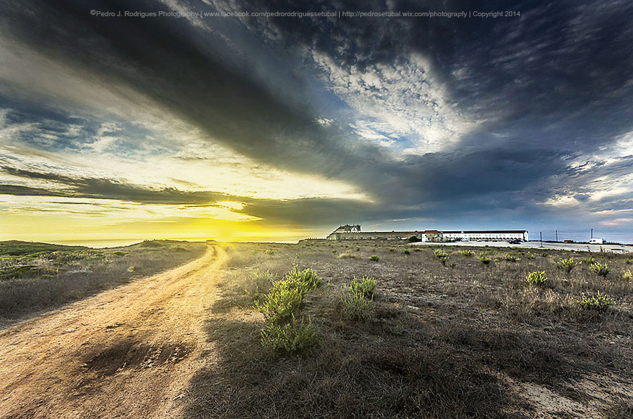 Path to Sunset