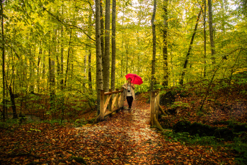 Yedigöller'de Hazan...