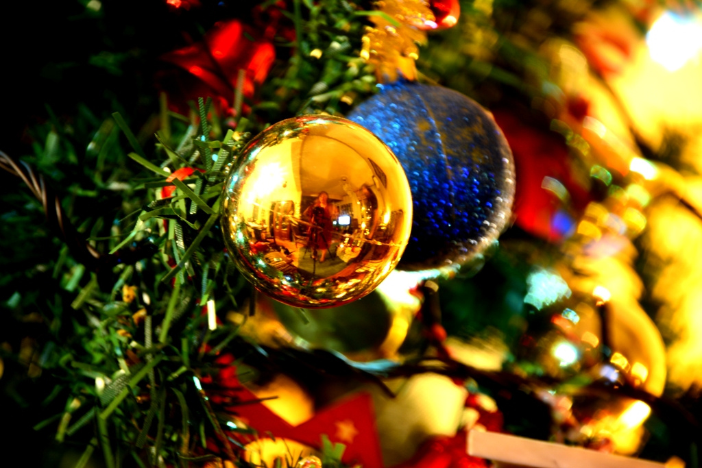 Yeni Yılın Ardından /After The New Year