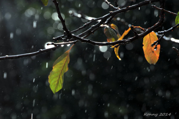 rain.... our winter in cyprus 