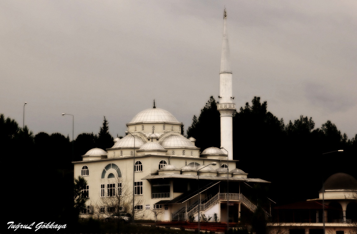 Hak yolu