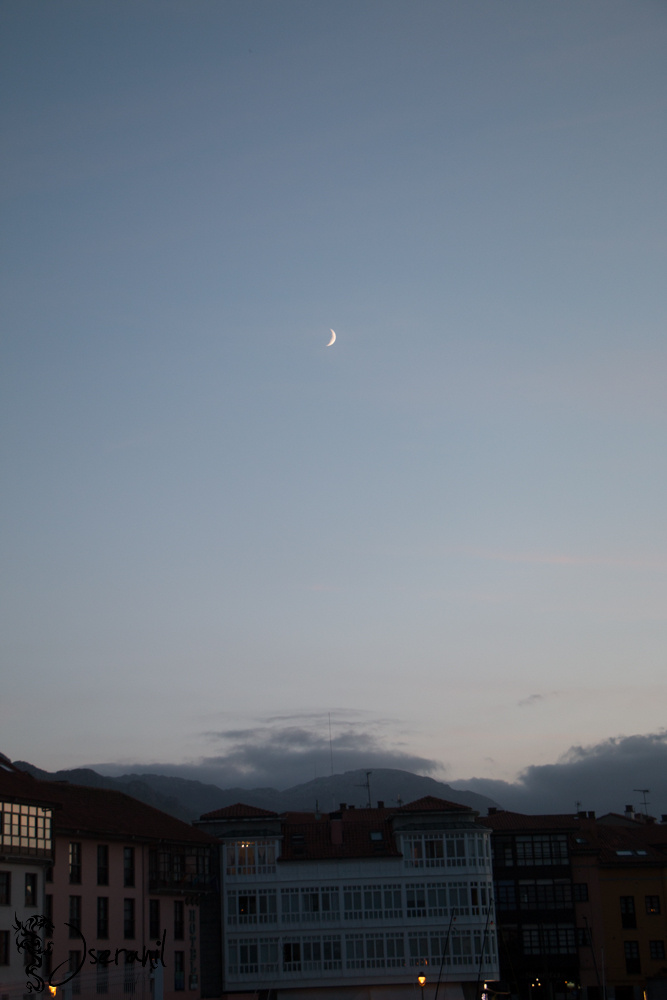 Moon