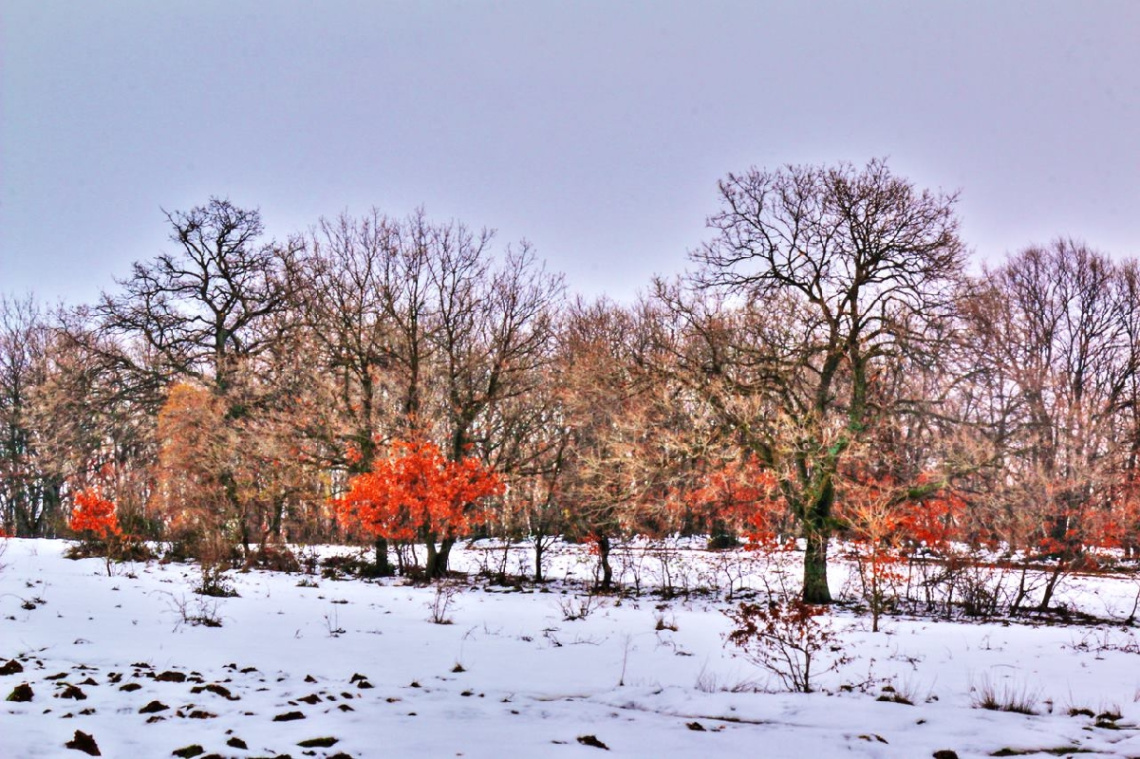 Kış Manzaraları II