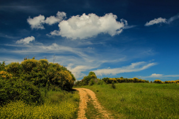 one happy summer day