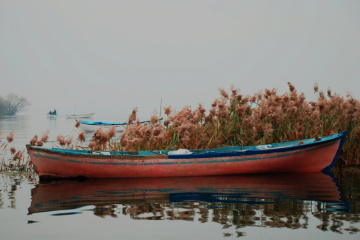Gölyazı