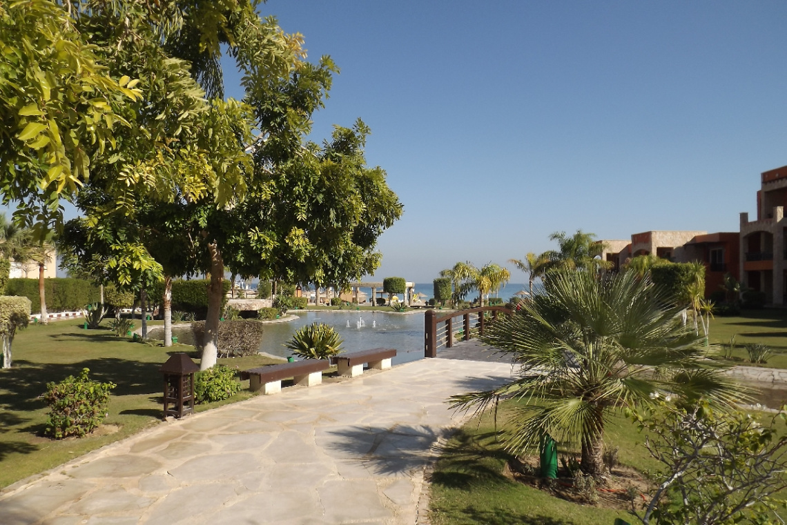 Egypt - sunny winter morning