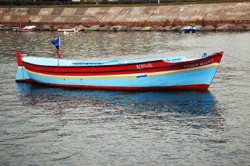 ÖZGÜR MAVİ