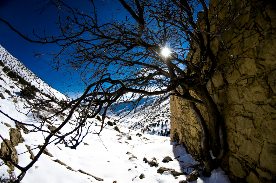 Doğa