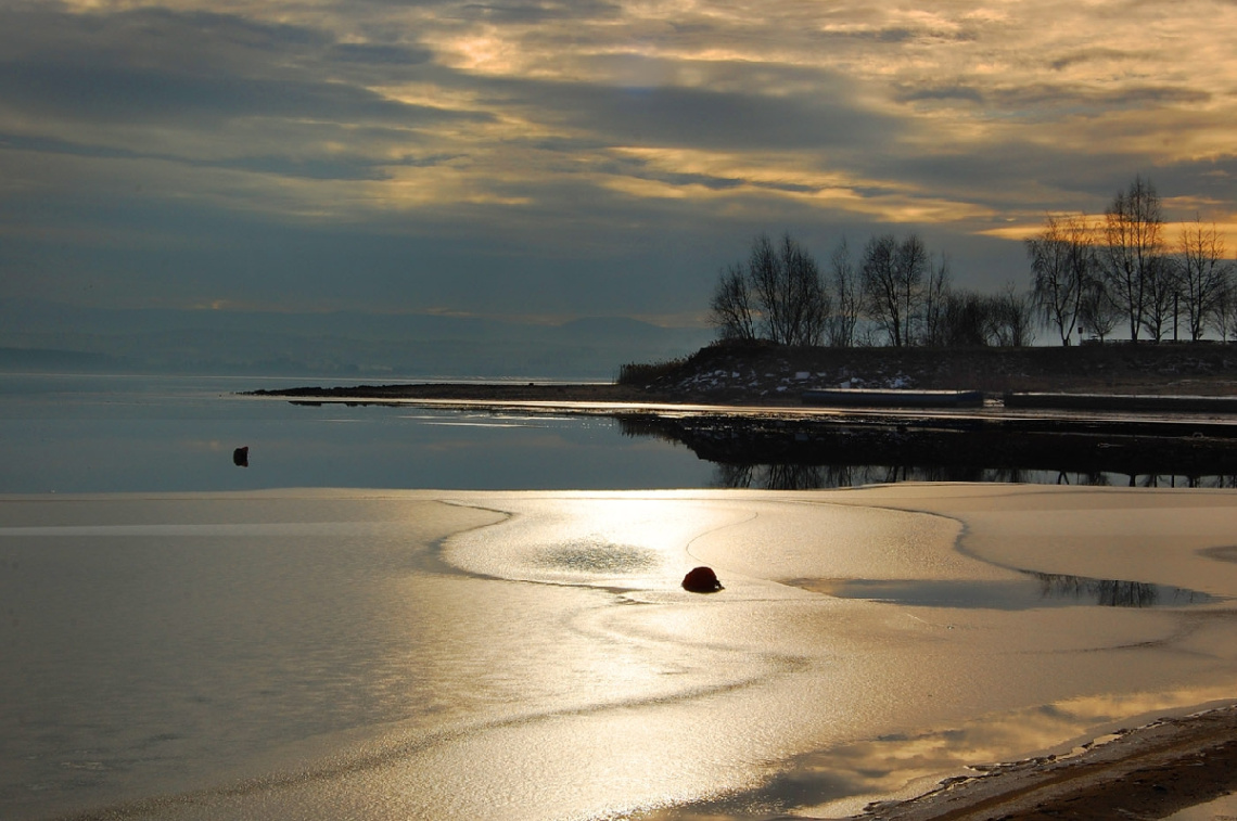 Golden winter day