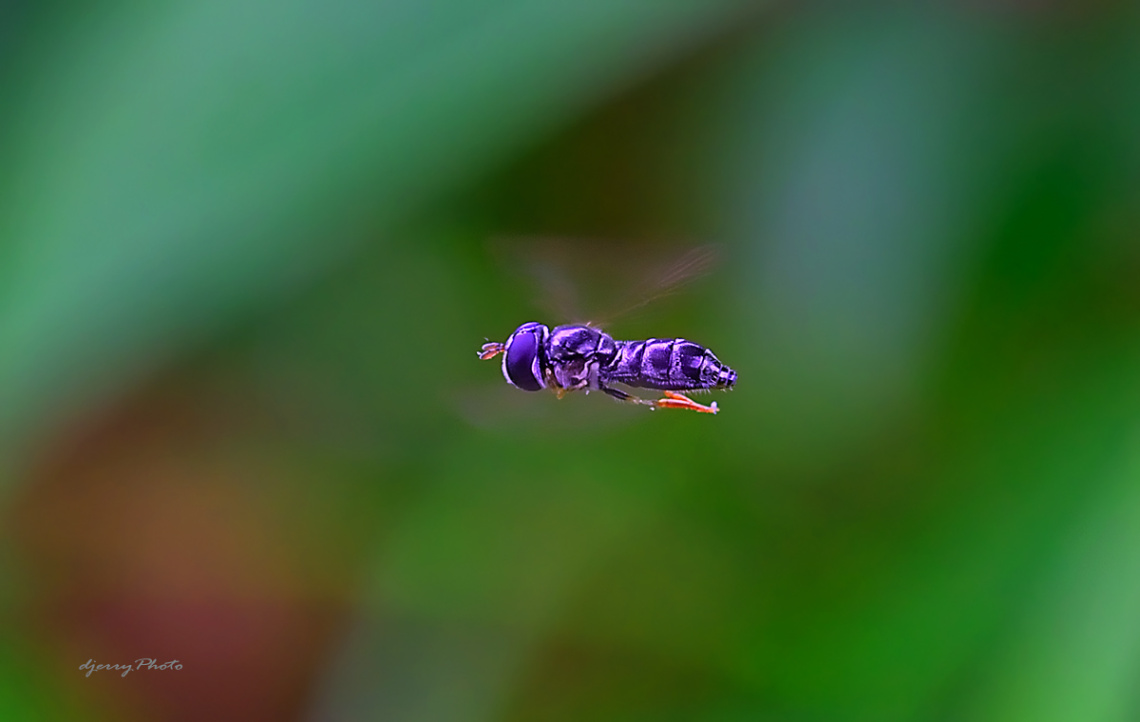 Fly alone
