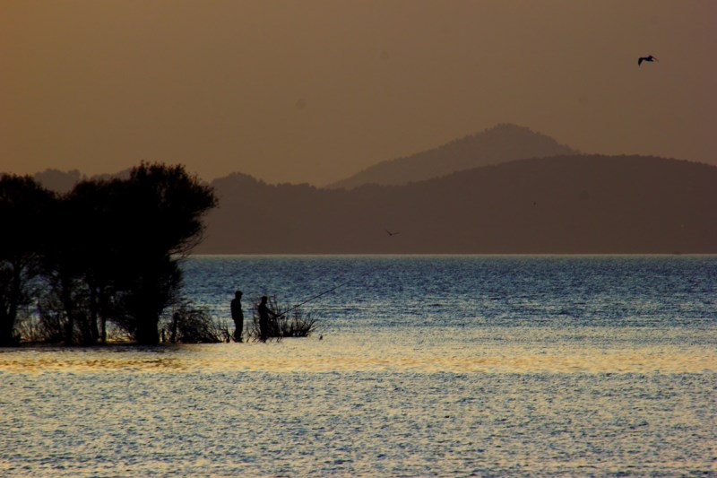 fisherman