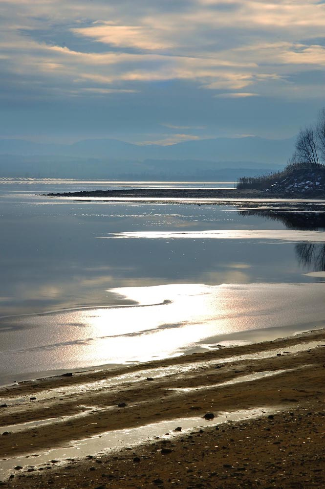 Golden Winter Day (2)